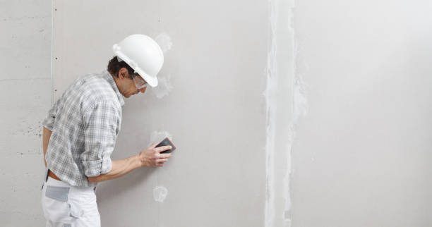 Best Post-Construction Mold Inspection  in Walhalla, SC