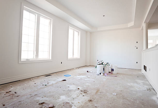 Best Emergency Mold Remediation  in Walhalla, SC